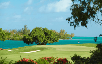 Building awareness for Fairway Travel