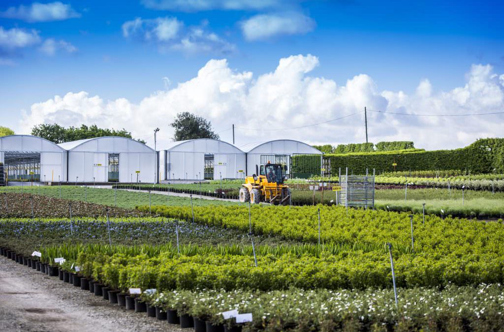 Johnsons of Whixley’s PR and marketing