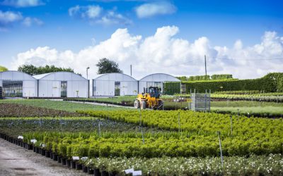 Johnsons of Whixley’s PR and marketing