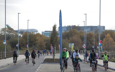 Enterprising nursery supplies ambitious airport project