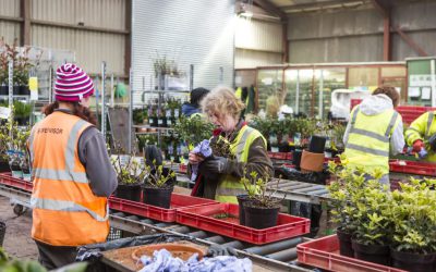 North Yorkshire nursery highlights changing roles of Women in horticulture to mark International Women’s Day
