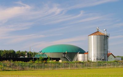 N-ERGY strikes partnership with Amur