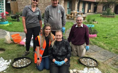 York Cares’ green community challenge