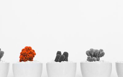 How to capture the media’s attention