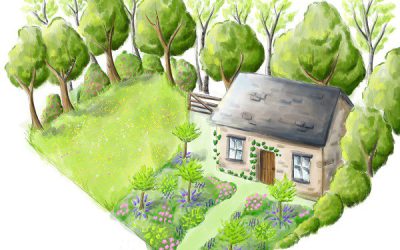 Joining forces with TV gardener for Flower Show