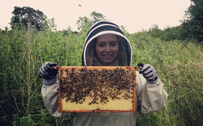 Growing bee population following apiary initiative