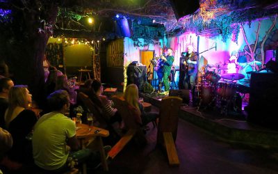 Small Seeds growing entertainment events