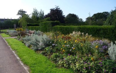 Firm sought-after for Scottish park renovation