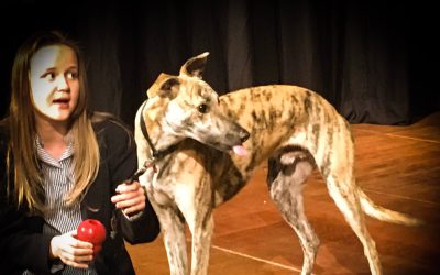 Rescue dog Billy is the star of the show