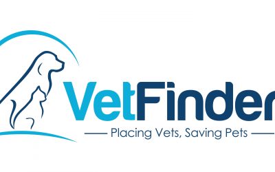 Unique recruitment company launched for vets