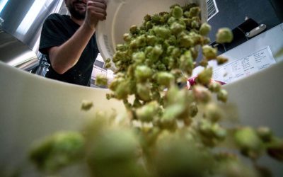 Labelling is key to reducing food waste