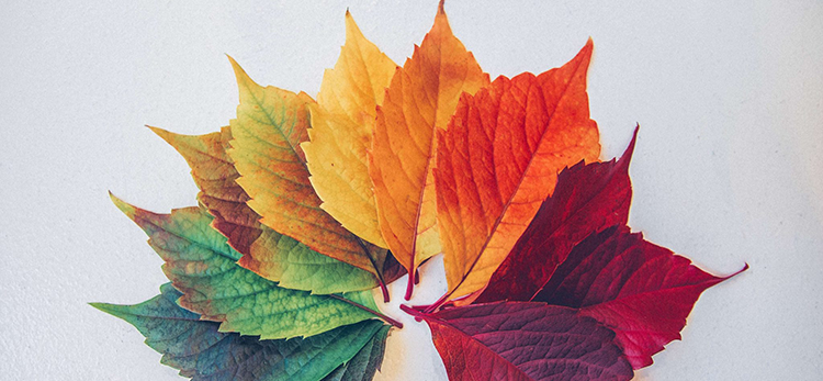 nature during lockdown