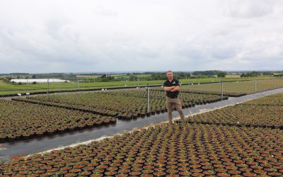 Commercial nursery overcomes challenges of 2020