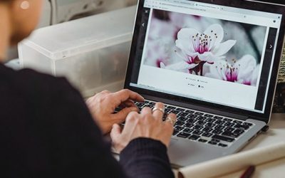 What is digital PR and why is it important?