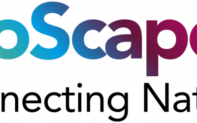 Yorkshire topsoil producer commissions study which raises questions over suitability of what is on sale around the UK