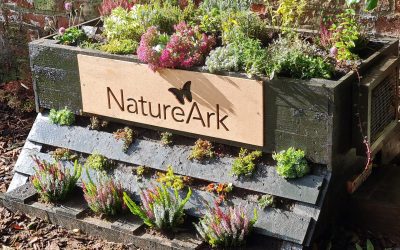 Patents granted on innovative products that support rewilding and nature connectivity