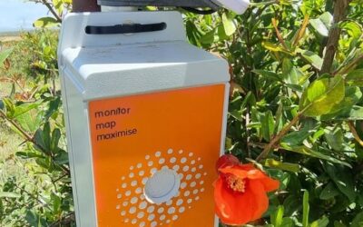 UK Tech Startup bridging the gender pay gap for women farmers in Sub-Saharan avocado farming  